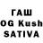 ТГК Wax Guli Qarshieva