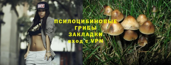 ГАЛЛЮЦИНОГЕННЫЕ ГРИБЫ Алексеевка